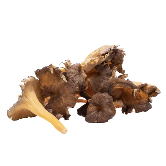 Image of a mushroom